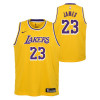 Nike NBA Swingman Los Angeles Lakers LeBron James Jersey
