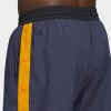 adidas Legends Basketball Shorts ''Shanav''