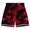 M&N Team Marble Swingman Chicago Bulls 1997 Shorts ''Black''