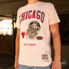 M&N Chicago Bulls Pastel Rings T-Shirt ''Pink''