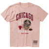 M&N Chicago Bulls Pastel Rings T-Shirt ''Pink''