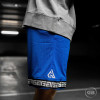 Nike Giannis Shorts ''Game Royal''