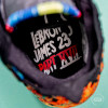 Nike Lebron XVII ''James Gang''