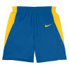 Nike Team Basketball Stock Shorts ''Royal Blue''