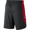 Nike Dry NBA Chicago Bulls Practice Shorts