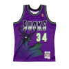 M&N NBA Milwaukee Bucks 1996-97 HWC Swingman Jersey ''Ray Allen Purple''