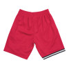 M&N NBA Miami Heat 1996-97 Swingman Shorts ''Red''