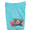 M&N NBA Vancouver Grizzlies 1996-97 Road Swingman Shorts ''Teal''