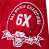 M&N NBA Chicago Bulls Champ City T-Shirt ''Red''