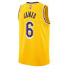 Nike NBA Los Angeles Lakers Icon Edition Swingman Kids Jersey ''Lebron James''